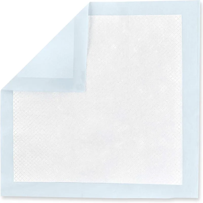 Basics Dog And Puppy Pads