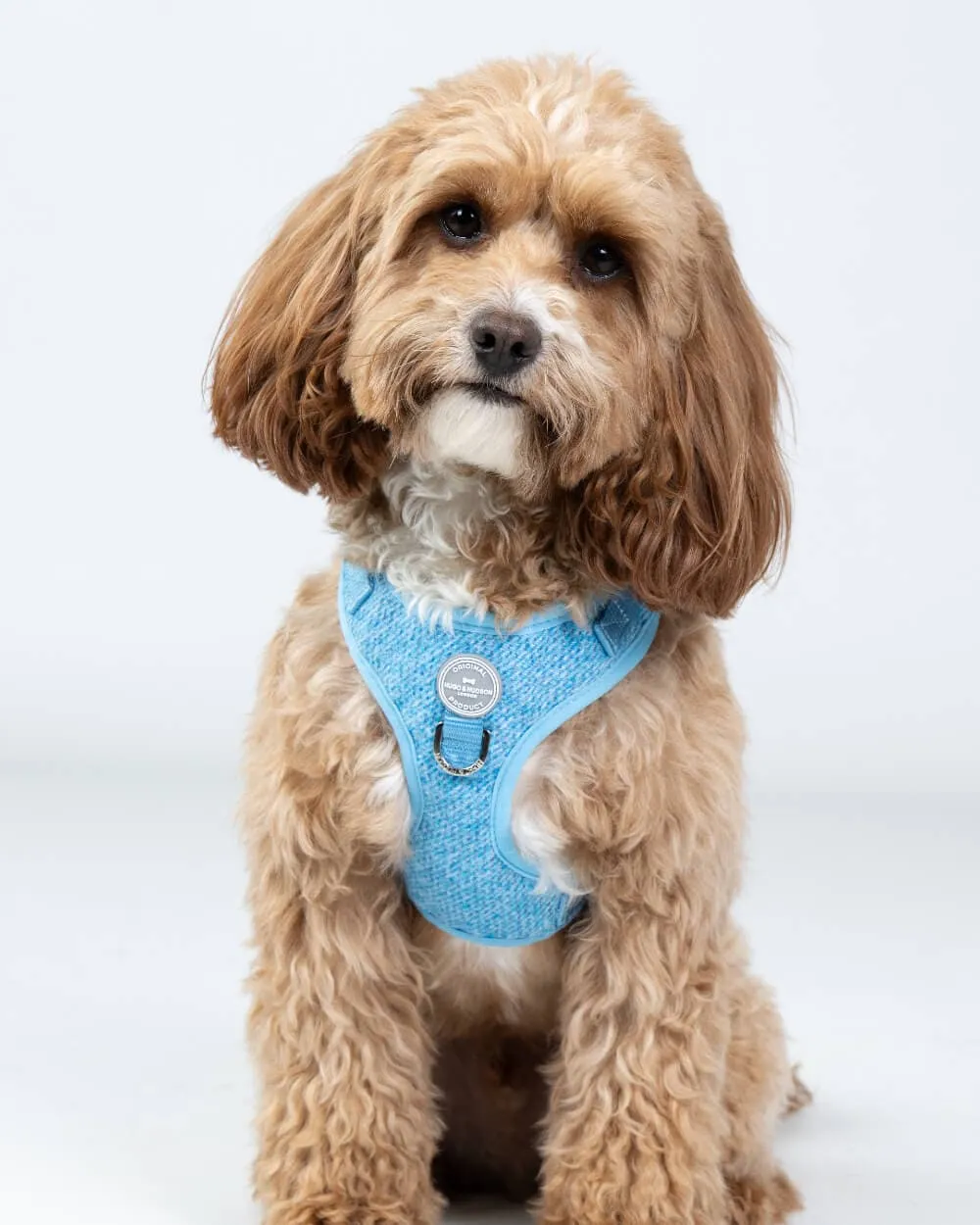 Blue Luxury Tweed Dog Harness