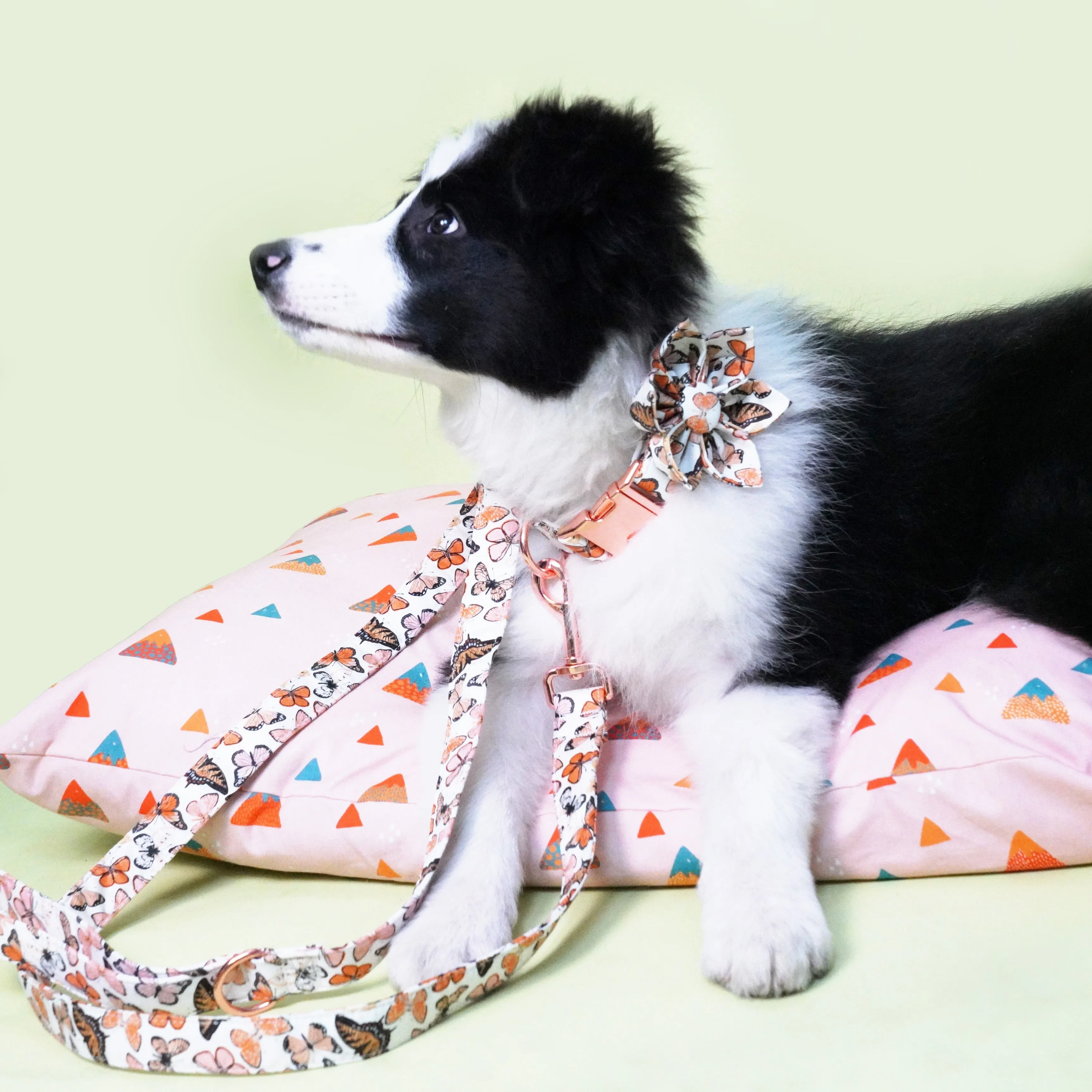 Breezy Butterflies: Personalized Flower collar And Leash Set.