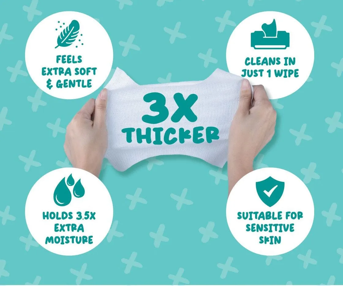 [CTN] AbsorbPlus Antibacterial Pet Wipes - Aloe Vera (80pcs x 12) | Alcohol & Paraben Free
