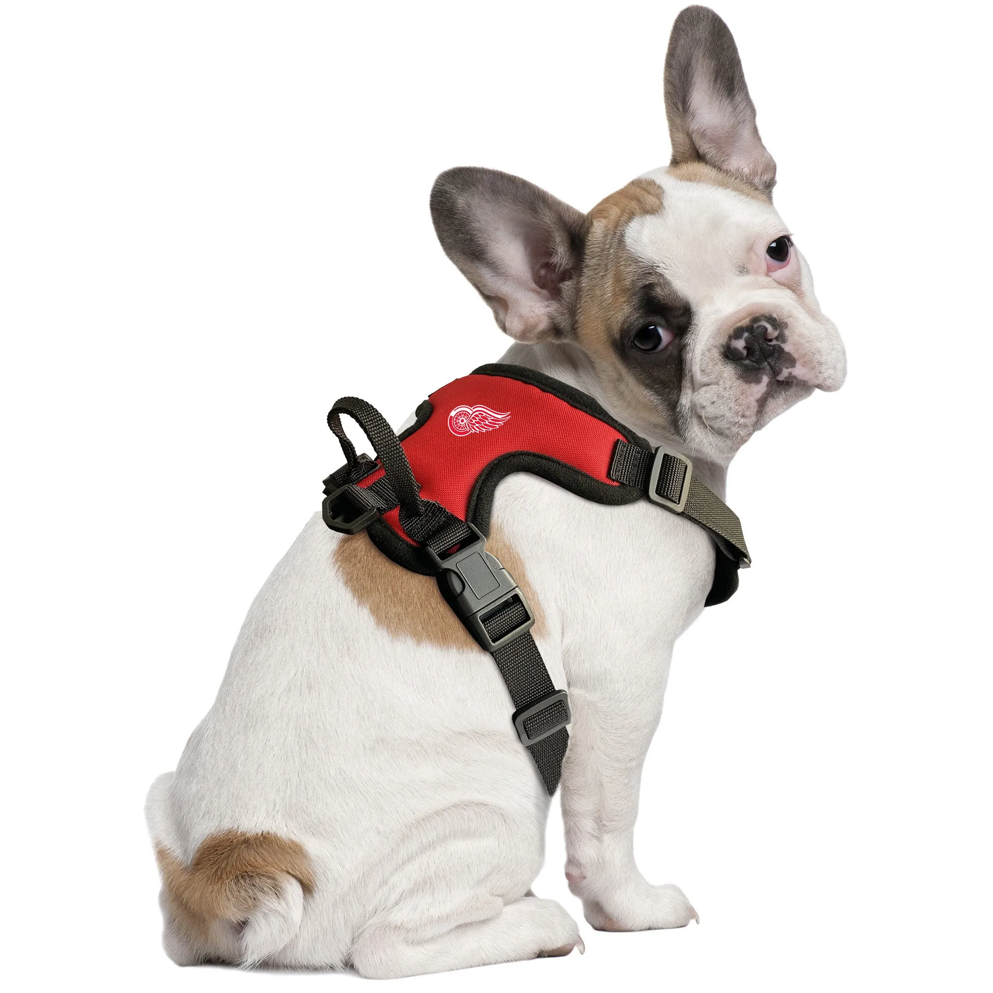 Detroit Red Wings Front Clip Pet Harness