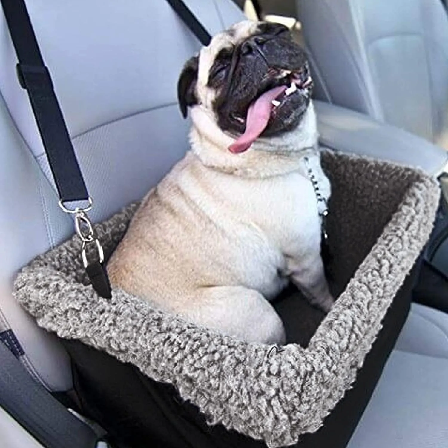 Devoted Doggy Deluxe Dog Car Seat Fits Pets up to 15lbs, Dog Booster Seat, Padded Cushioning, Adjustable Straps, Metal Frame Encasing, Installs in Seconds, Collapsible Canvas and Easy to Clean