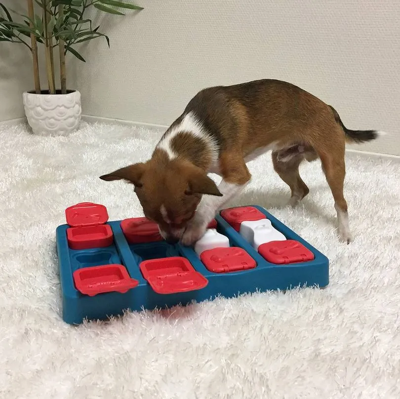 DOG BRICK Feeding Toy IQ Interactive Puzzle Game