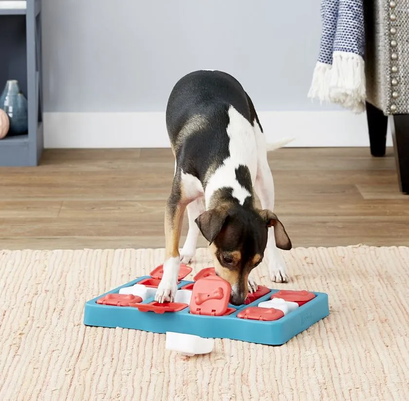 DOG BRICK Feeding Toy IQ Interactive Puzzle Game