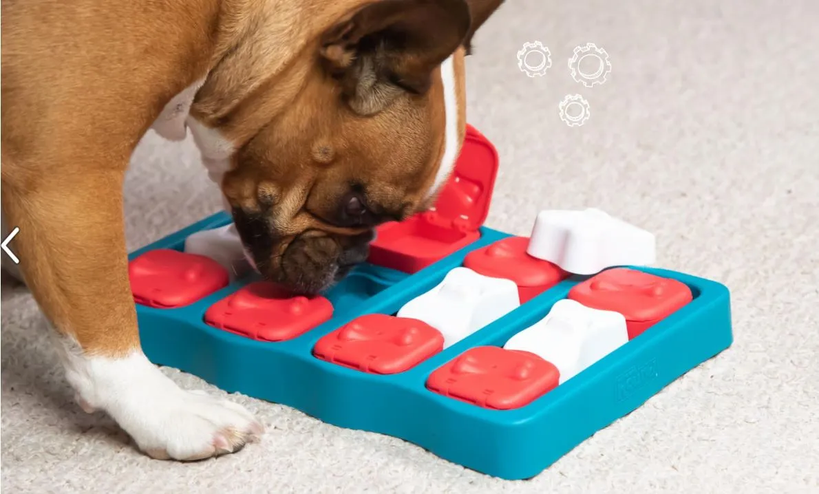 DOG BRICK Feeding Toy IQ Interactive Puzzle Game