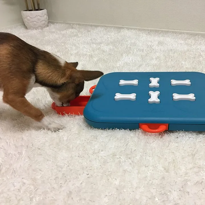 Dog Casino Treat Dispensing Dog Toy Puzzle