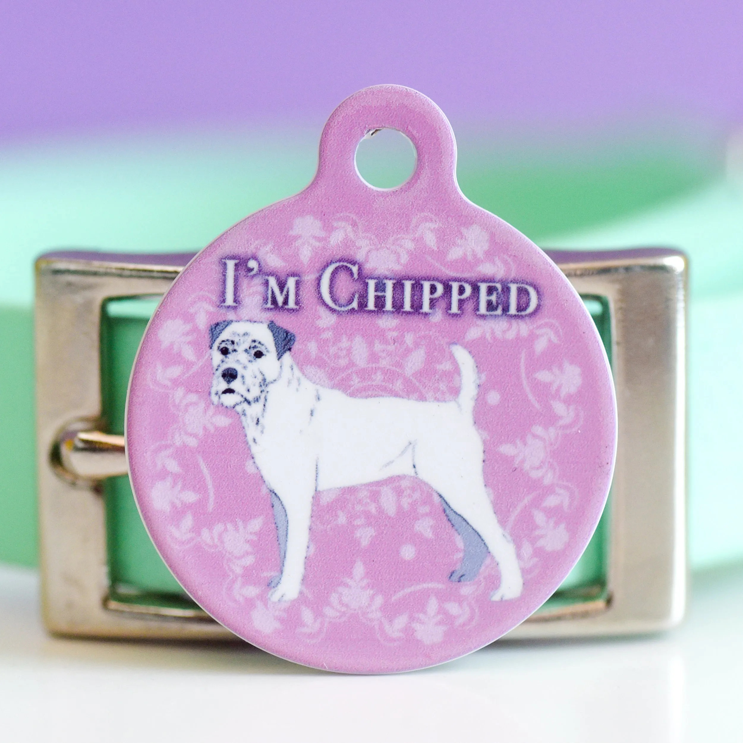 Dogerton Regency Pet ID Tag