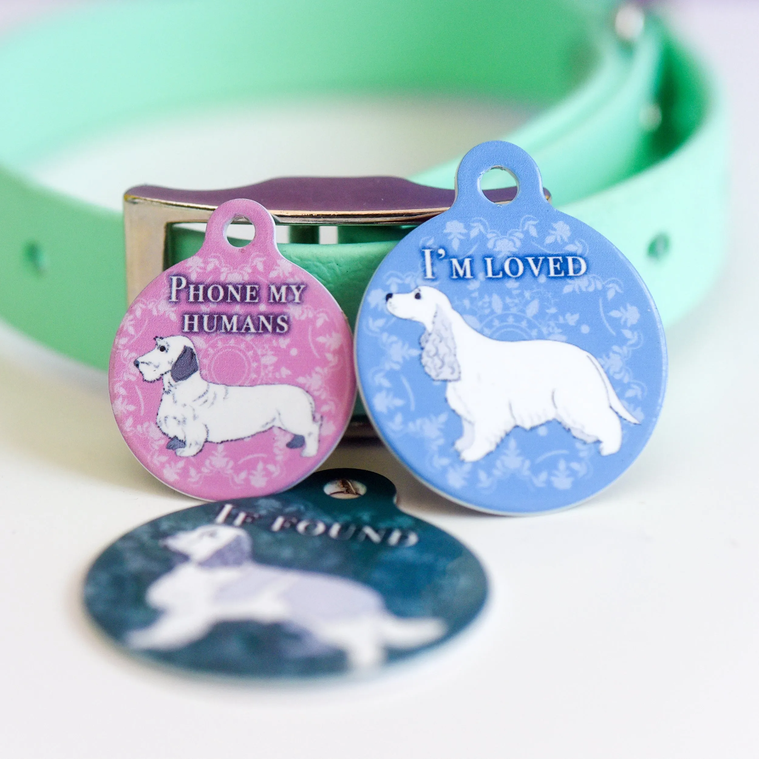 Dogerton Regency Pet ID Tag