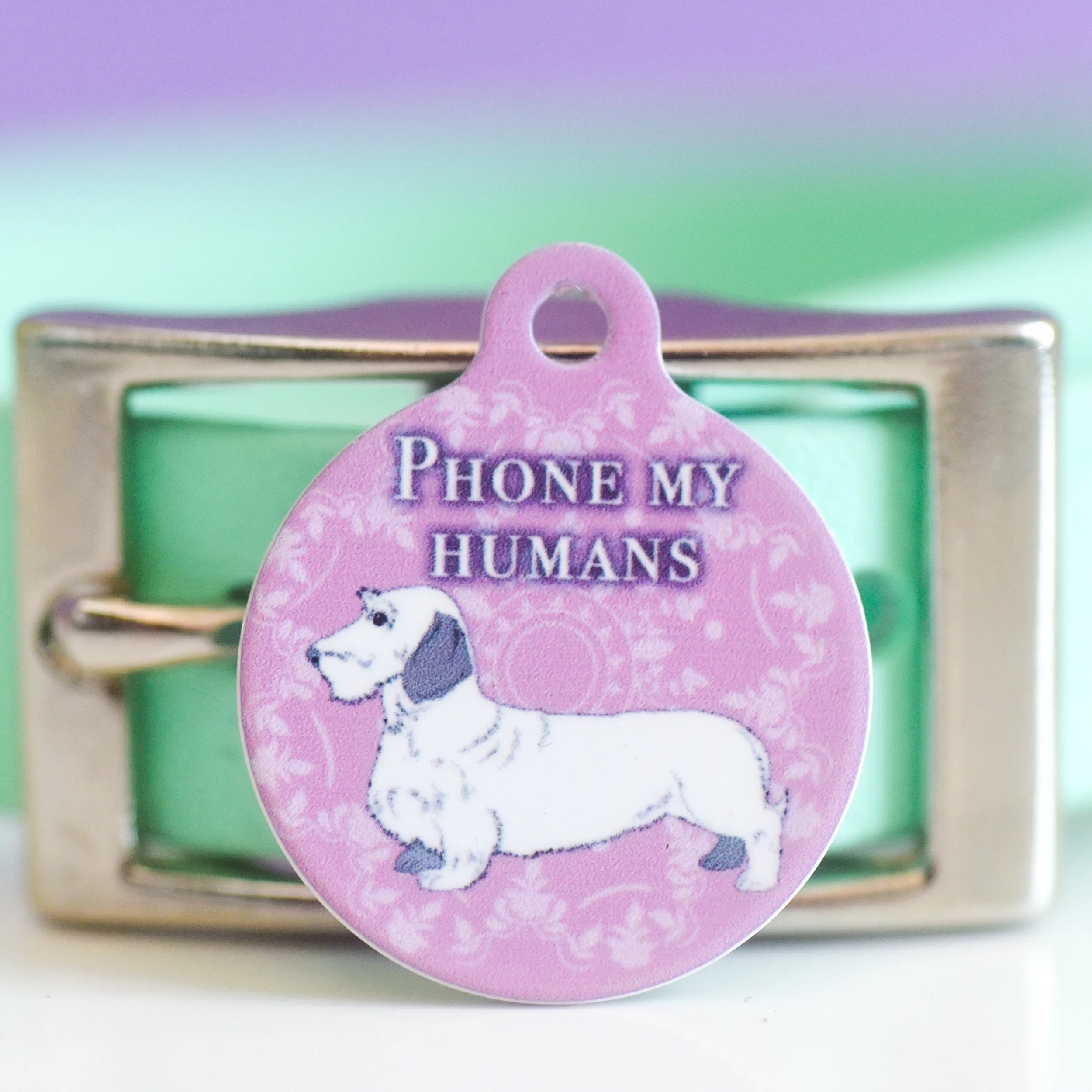 Dogerton Regency Pet ID Tag