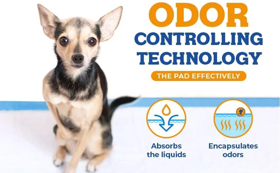 Extra Large Pee Pads
