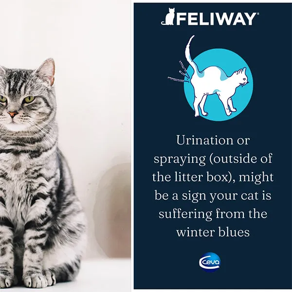 Feliway Spray 60ml