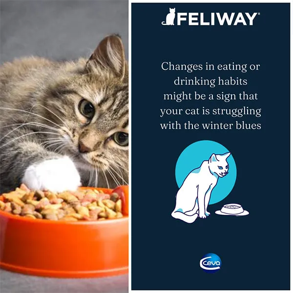 Feliway Spray 60ml