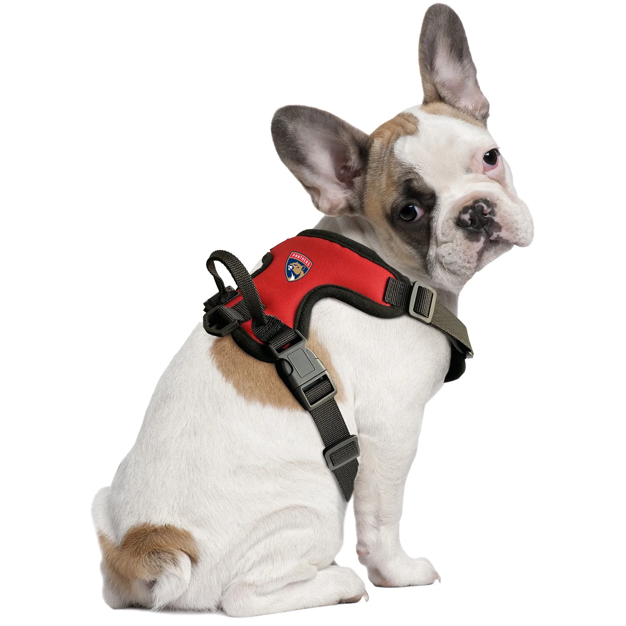 Florida Panthers Front Clip Pet Harness