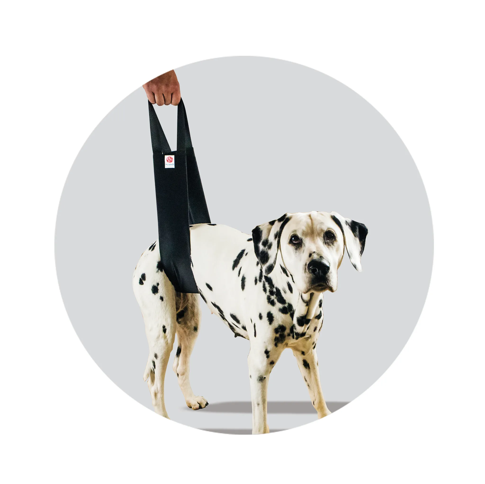 Helping Hand Support Harnesses for Dogs