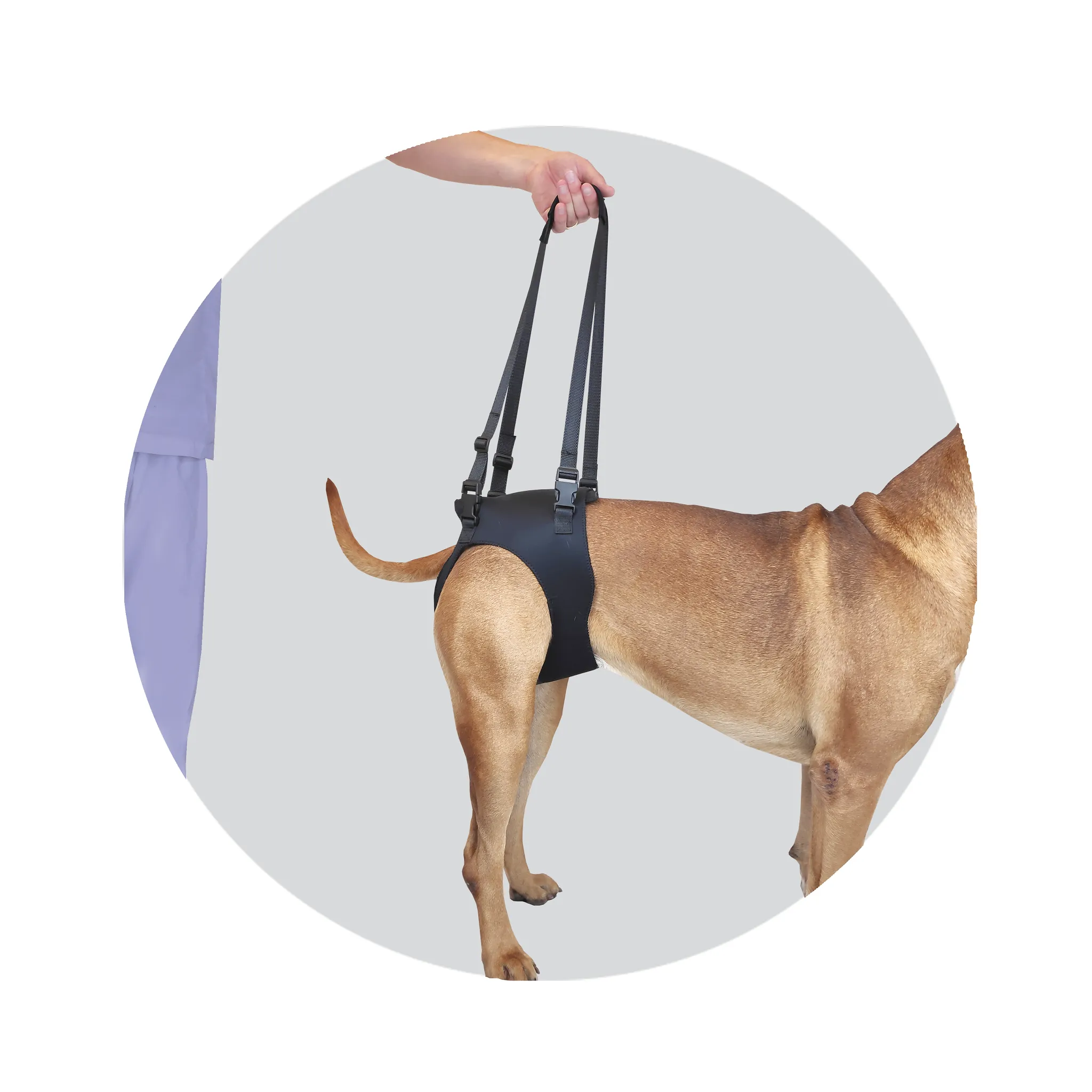 Helping Hand Support Harnesses for Dogs