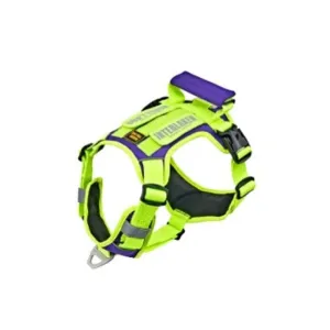 Interlaken Slim 2.0 Dog Harness