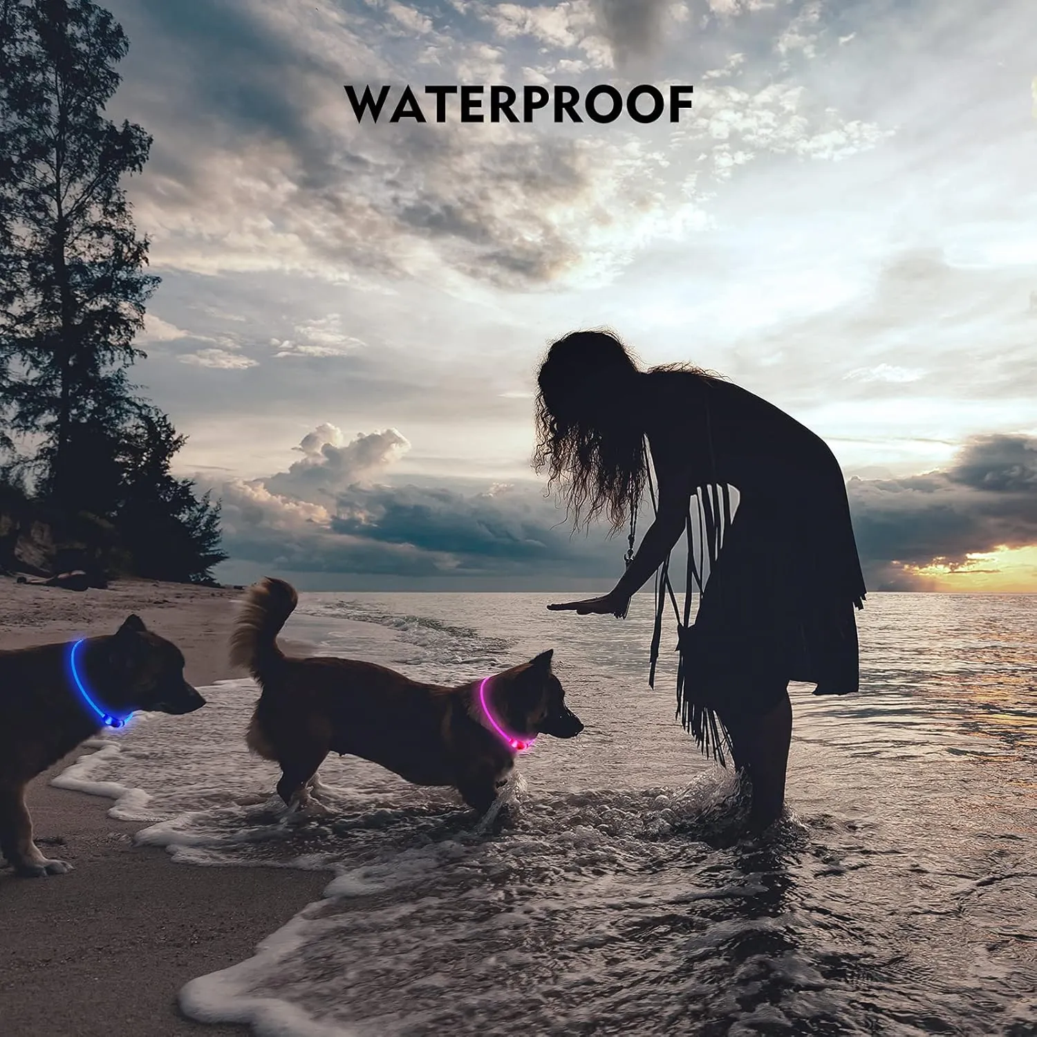 LED Dog Collar, Rechargeable Light Up Dog Collars,IP67 Waterproof Dog Lights for Night WalkingAdjustable, Reusable Safety Necklace for Small Medium Large Dogs (Green)