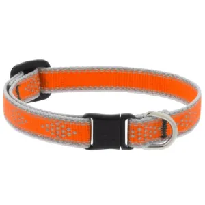 Lupine Cat Collar 1/2" Wide X 8-12" Neck Size High Lights Diamond Orange