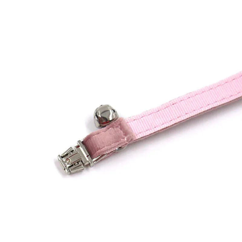 Personalized Cat Collar Set Engraved Silver Buckle Champagne Pink Velvet
