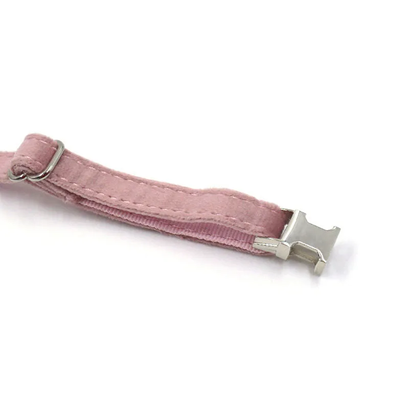 Personalized Cat Collar Set Engraved Silver Buckle Champagne Pink Velvet