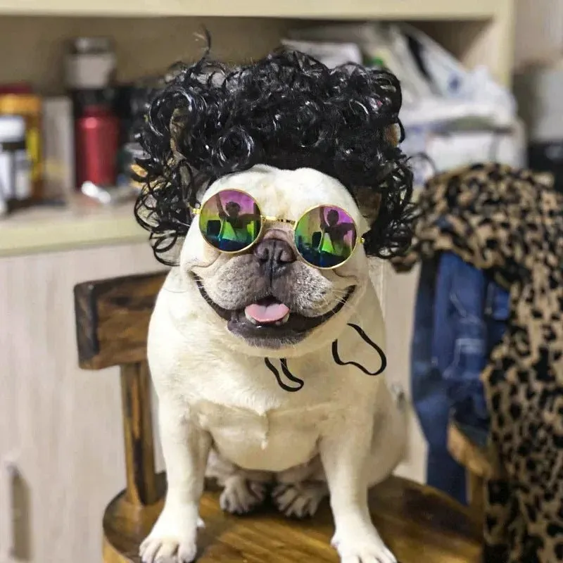 Pet Wigs Cosplay Props - Cat and Dog Wigs to Unleash Their Personality
