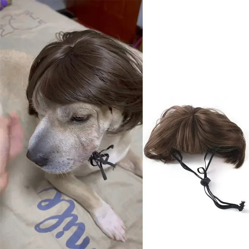 Pet Wigs Cosplay Props - Cat and Dog Wigs to Unleash Their Personality