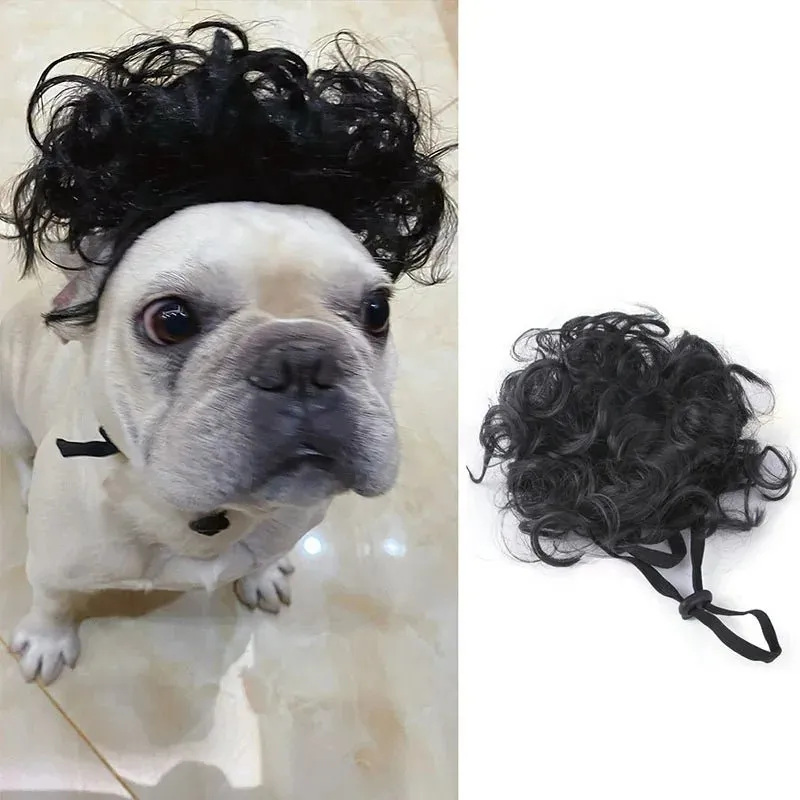 Pet Wigs Cosplay Props - Cat and Dog Wigs to Unleash Their Personality