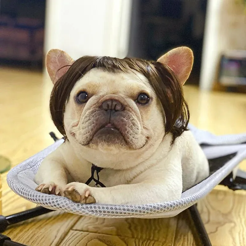Pet Wigs Cosplay Props - Cat and Dog Wigs to Unleash Their Personality