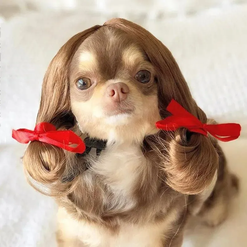 Pet Wigs Cosplay Props - Cat and Dog Wigs to Unleash Their Personality