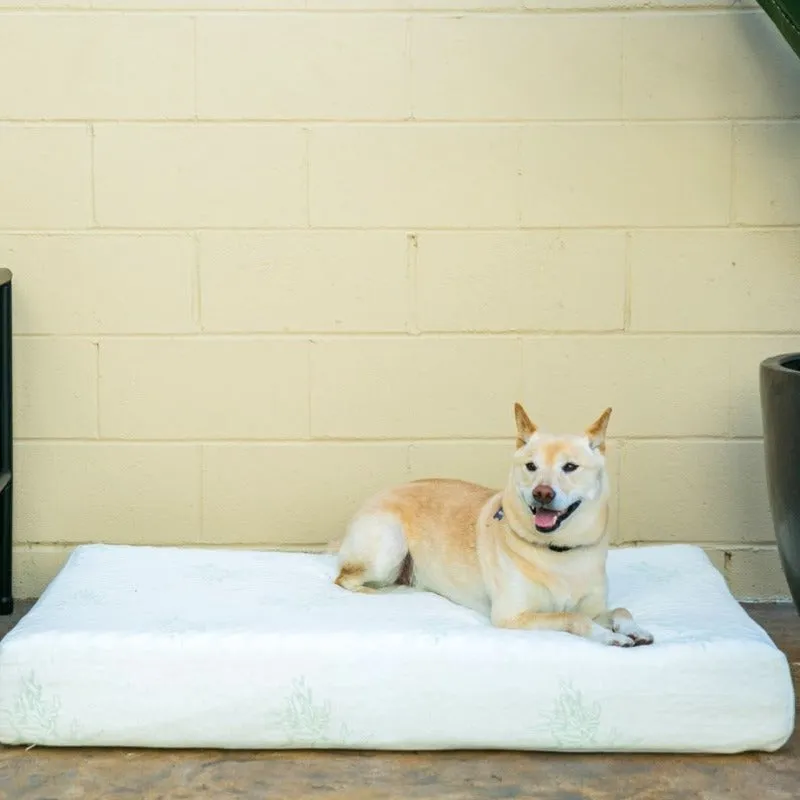 Petique, Bamboo Memory Foam Dog Bed