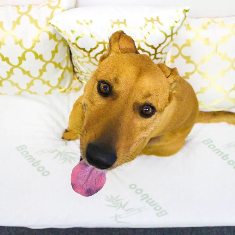 Petique, Bamboo Memory Foam Dog Bed