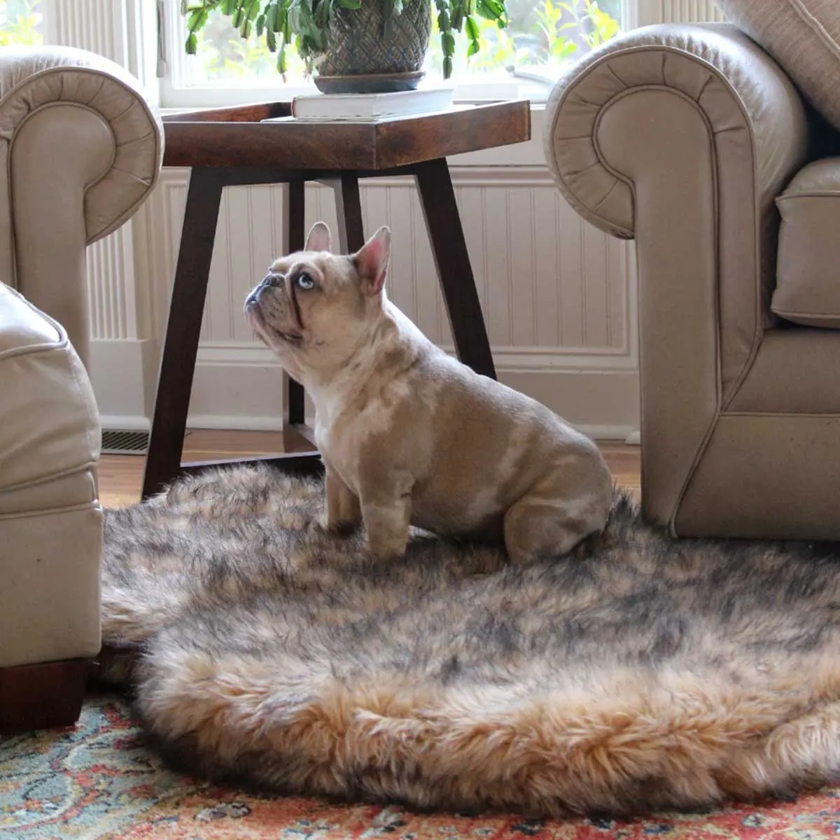 PupRug Faux Fur Curved Orthopedic Dog Bed - Sable