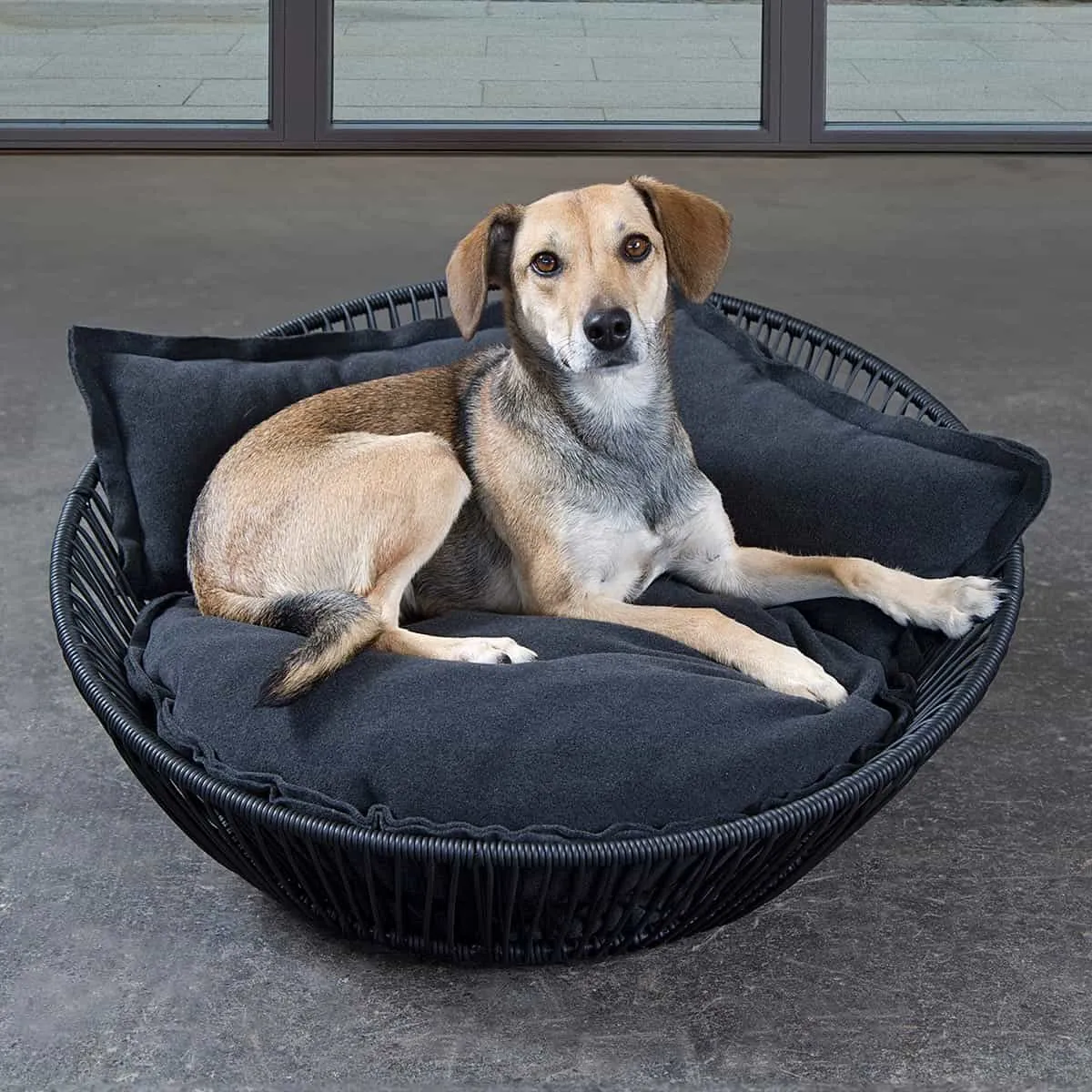 Siro Saleen Pet Bed