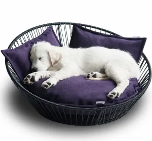 Siro Saleen Pet Bed