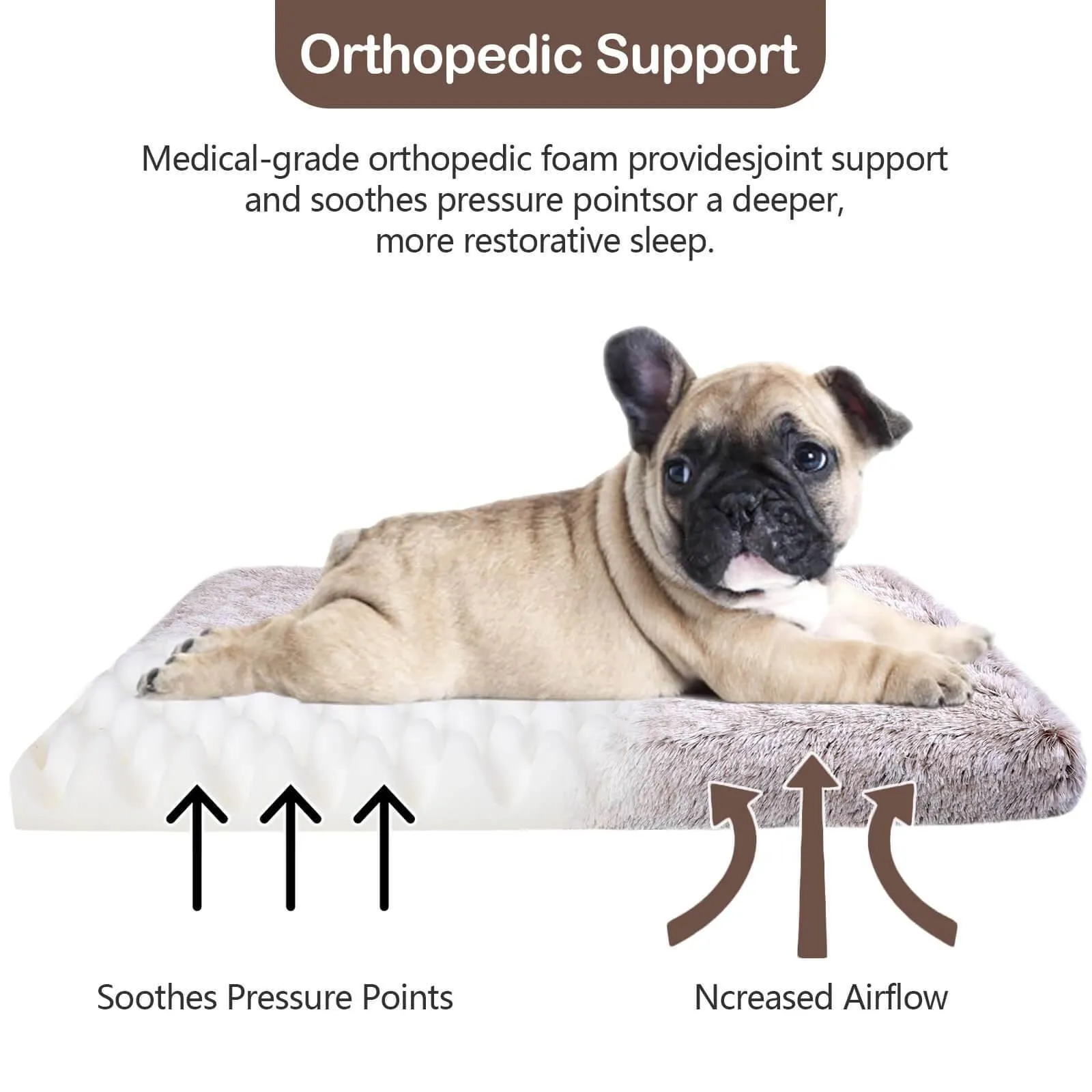 Soft 3D Orthopedic Dog Bed 3D Foam Mattress