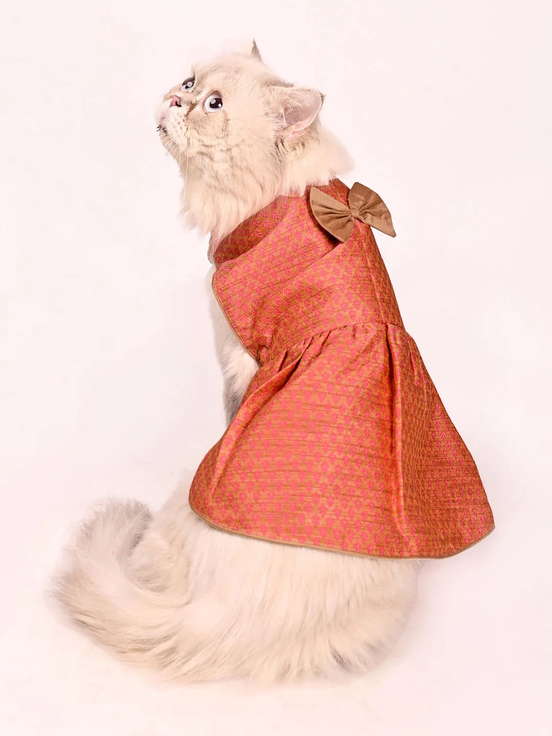 Vastramay Cats Pink Woven Silk Blend Dress