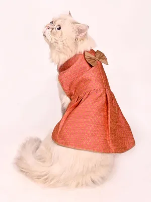 Vastramay Cats Pink Woven Silk Blend Dress