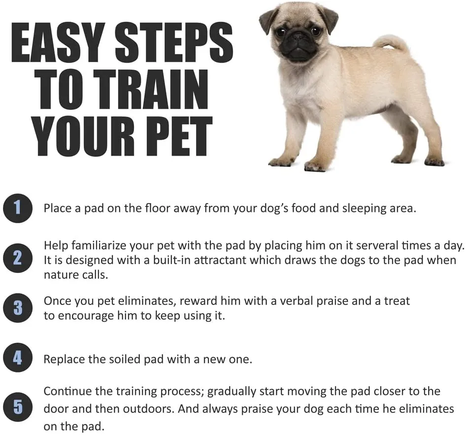 XL Puppy Pads X-Large Leak-Proof 28"X34" [40CT] | Pee Pads for Dogs Ultra Absorbent 6-Layer - Dog Pee Pads Extra Large - Dog Pads XL - Potty Pads for Dogs, Training Pads for Dogs, Dog Pad